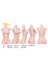 Adalbert 95cm Irontech Doll Torso Masturbator silicone sex dolls with F-cup, incl. gel - breast